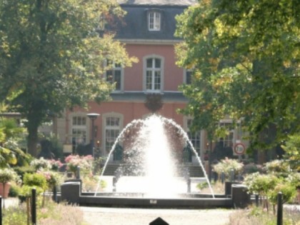 Фото: Schloss Wickrath